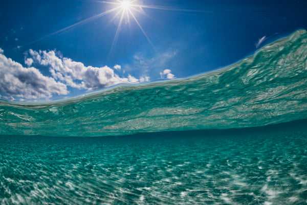 DSC_7200popweb_grande.jpg?v=