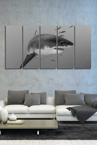 Z Series Black and White "The Mighty Great White"