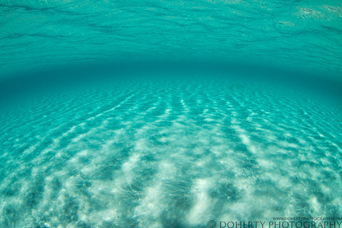 Sea of Cortez