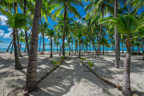 Pathway to Paradise